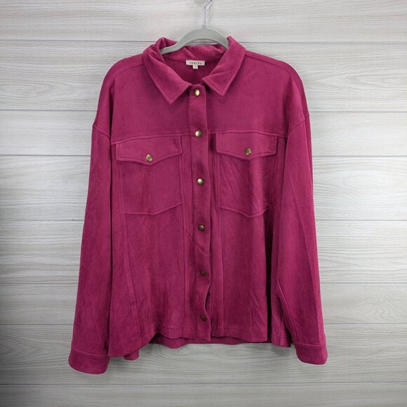 JODIFL Velvet Button Down Blouse - Picture 3 of 9